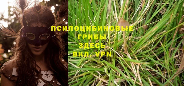 spice Алексеевка