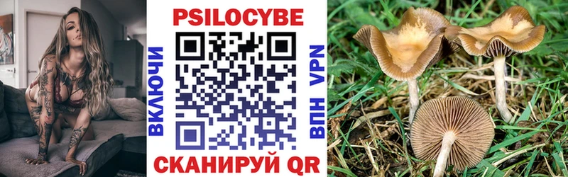 купить наркотики цена  Теберда  hydra   Псилоцибиновые грибы MAGIC MUSHROOMS 